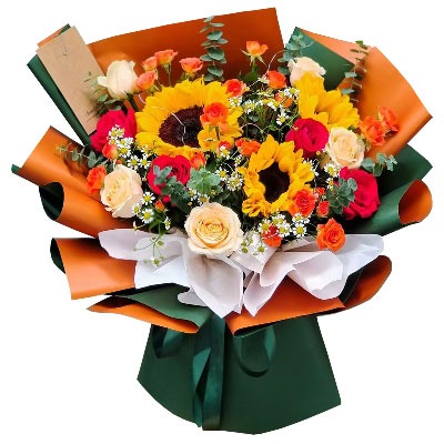 Ȫ�ݻݰ��ػ���